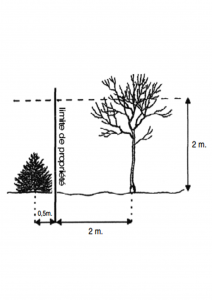 A quelle distance planter un arbre?